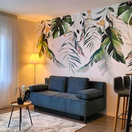 King Bed 4 People Near Basel, Switzerland, Weil Am Rhein, Loerrach, Germ'Any, Near Airport Apartment Saint-Louis  Exterior foto